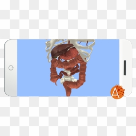 Anatomyou Vr - Gastrointestinal Tract - External View - Illustration, HD Png Download - intestines png