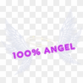 #angel #100%angel #wings #whitewings #halo #whitehalo, HD Png Download - angel wings and halo png