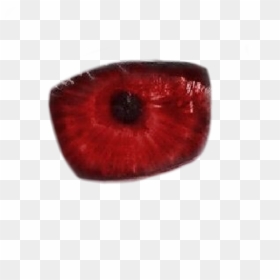 Macro Photography, HD Png Download - red eyes meme png