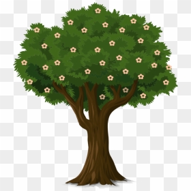 Plant,leaf,shrub - Tree With Flower Clipart, HD Png Download - flowering shrub png