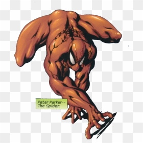 Peter Parker From Exiles Vol 1 12 - Spider Earth 15 The Marvel Spider Man Ultimate, HD Png Download - peter parker png