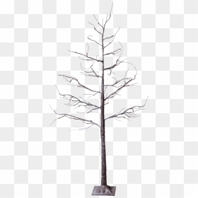 Decorative Tree Tobby Tree - Christmas Tree, HD Png Download - red tree png