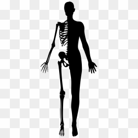 Half Woman Half Skeleton Silhouette Clip Arts - Half Human Half Skeleton, HD Png Download - woman standing silhouette png
