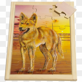 Red Wolf, HD Png Download - dingo png