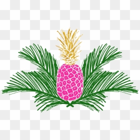 I Believe In Pink - Png Translucent Pineapple Gold, Transparent Png - pineapples png