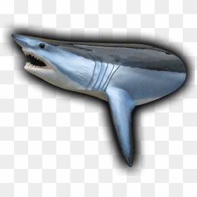 450 Lb Mako Shark Head Mount Fish Replica - Great White Shark, HD Png Download - fish head png