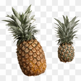 Foods,food,bromeliaceae - Pineapple, HD Png Download - pineapples png