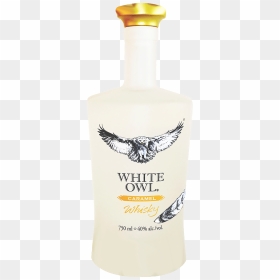 Transparent White Owl Png - Hawk, Png Download - white owl png