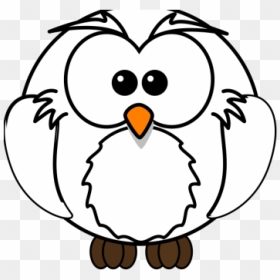White Owl Png Icons - Coloring Pages For Kids Png, Transparent Png - white owl png