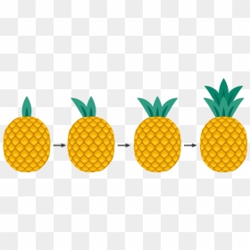 Independence Park, HD Png Download - pineapples png
