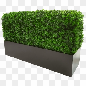 Metal Planter For Artificial Hedges With Boxhood - Transparent Background Box Hedge Png, Png Download - hedges png