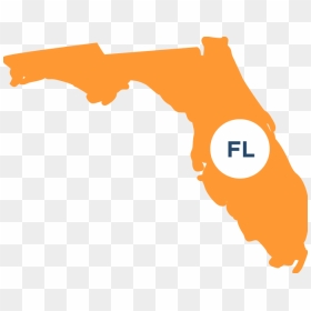About The Law Center - Florida With Transparent Background, HD Png Download - florida shape png