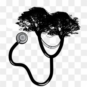 Green Tree Silhouette Png, Transparent Png - stethoscope clipart png