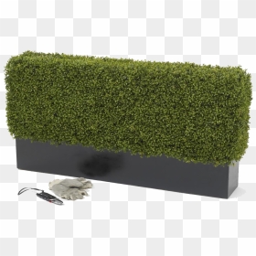 Artificial Premium Deluxe Hedge, HD Png Download - hedges png