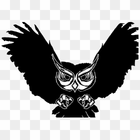 Transparent White Owl Png - Background Burung Hantu Keren, Png Download - white owl png