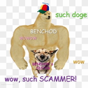 Swole Doge, HD Png Download - wow meme png