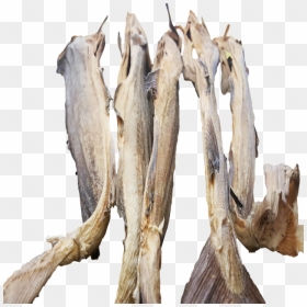 Dried Cod, HD Png Download - fish head png