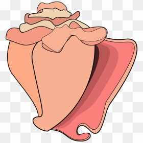Cartoon Conch Shell Png, Transparent Png - conch shell png