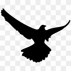 Clipart Of Swift And Flying Owl - Miyajidake Shrine, HD Png Download - soaring eagle png