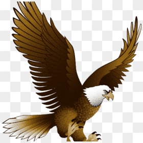 Eagle Clipart Bald Eagle Clipart School Clipart - Flying Eagle Clipart, HD Png Download - bald png