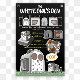 Picture - Flyer, HD Png Download - white owl png