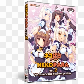 This Media May Contain Sensitive Material - Nekopara Dvd, HD Png Download - nekopara png