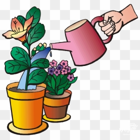 Water Plants Clip Art - Please Water My Plants, HD Png Download - water plants png