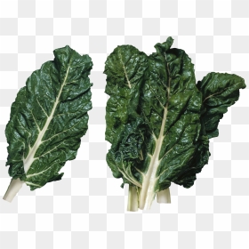 Chard Meaning, HD Png Download - collard greens png