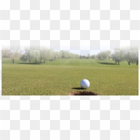 Golf Ball Club Transparent Sports Png Png Golf Ball - Pitch And Putt, Png Download - golf grass png