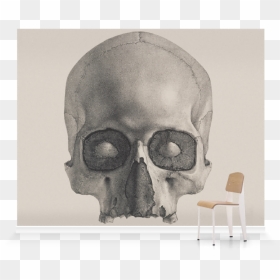 Afghan Whigs You Want Love, HD Png Download - human skull png