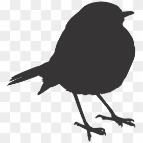 Bird Sparrow Silhouette Orange Png Image - Silhouette Robin Bird Icon, Transparent Png - robin bird png