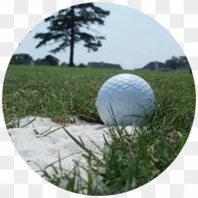 Grass , Png Download - Grass, Transparent Png - golf grass png