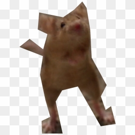 Nick Cannon Png - Domestic Pig, Transparent Png - nick fury png