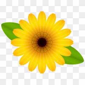 Thumb Image - Single Yellow Flowers Png, Transparent Png - yellow daisy png