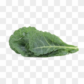 Chard, HD Png Download - collard greens png