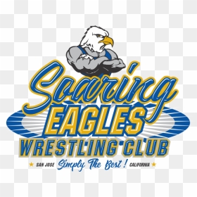 Transparent High School Wrestling Clipart - Chicago Hope Academy, HD Png Download - soaring eagle png