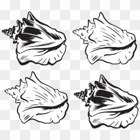 Transparent Shell Clipart Black And White - Conch Shell Png Vector, Png Download - conch shell png