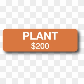 Your Support Will Fund Enough Vegetable Plant Starts - Graphic Design, HD Png Download - vegetable plant png