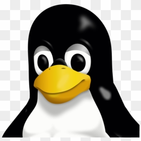 Linux Penguin, HD Png Download - linux penguin png