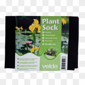Transparent Water Plants Png - Plant Sock Velda, Png Download - water plants png