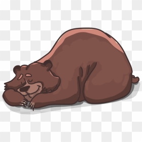 Dreamcloud Sleep Mattress Review Image - Free Bear Clipart Sleeping, HD Png Download - dream cloud png