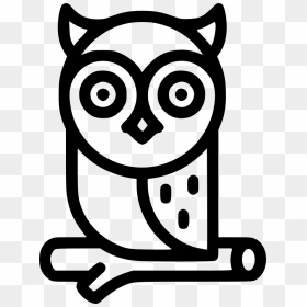 Owl - Owl Icon Png, Transparent Png - white owl png