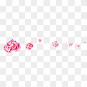 #rose #pedals - Rose, HD Png Download - rose pedals png