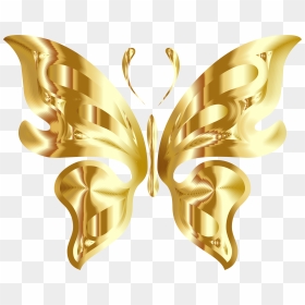 Prismatic Butterfly 11 No Background - Golden Butterfly Png, Transparent Png - butterfly wing png