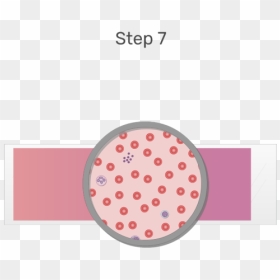Animation Of Blood Cell Being Examined Under Microscope - Blood Smear Cartoon, HD Png Download - smear png