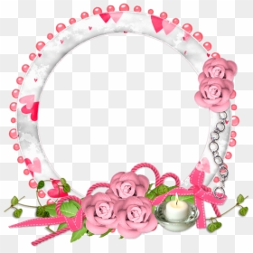 Garden Roses, HD Png Download - fram png