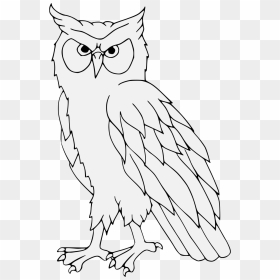 Owl Png Heraldry, Transparent Png - white owl png