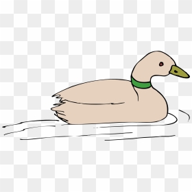 Duck In Water Clip Art, HD Png Download - cartoon wings png