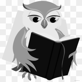 Clipart Smart Owl Colored Book Jpg Free Owl With Book - Black And White Clipart Owl With Book, HD Png Download - white owl png