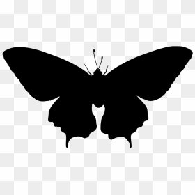 Scalable Vector Graphics, HD Png Download - butterfly wing png